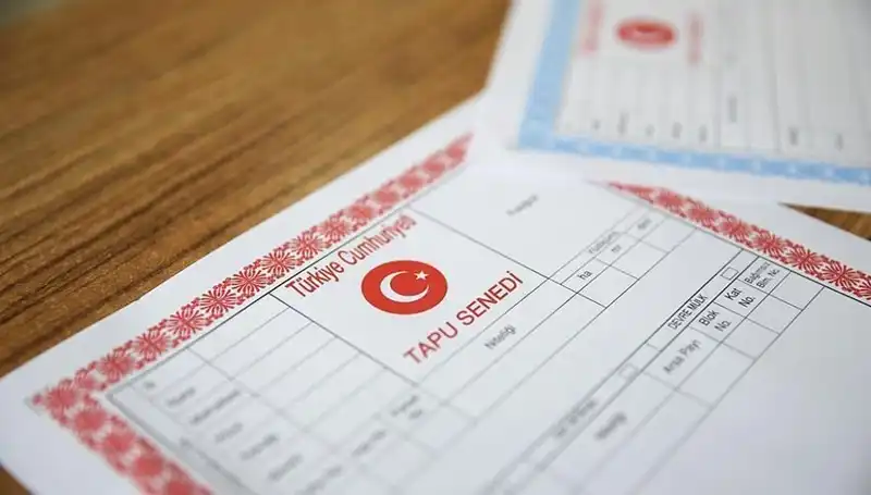 Hisseli Tapu Tuzağı: 100 Milyonluk Dolandırıcılık Ortaya Çıktı