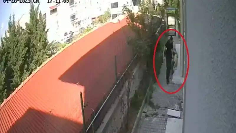 Doktorun Korkunç Suçu: Sahiplendiği Köpekleri Evde Parçaladı!