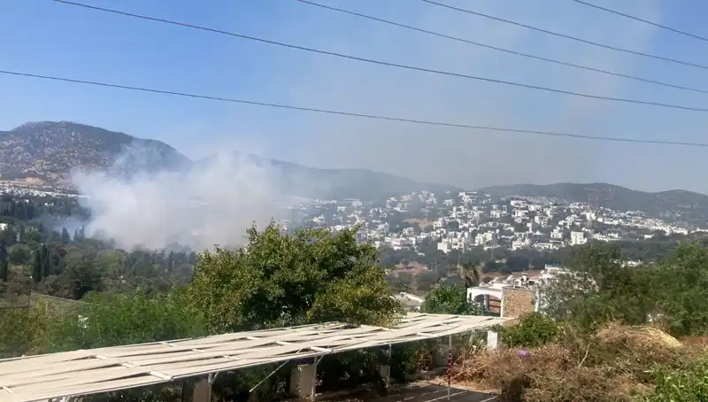 Muğla'daki Orman Yangınları Kontrol Altına Alındı: Son Durum!