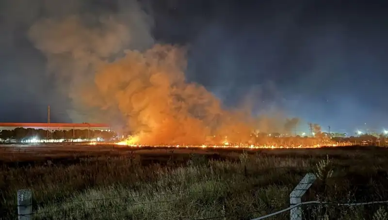 İzmir'de Gece Yarısı Yangın Paniği: Mahallede Korku Dolu Anlar Yaşandı