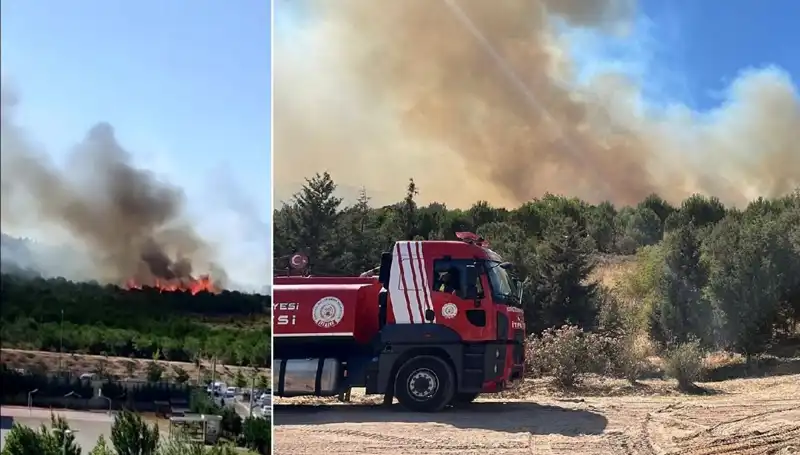 Gebze’nin Gözbebeği Ormanlık Alanında Yangın Alarmı: Melankolik Manzara