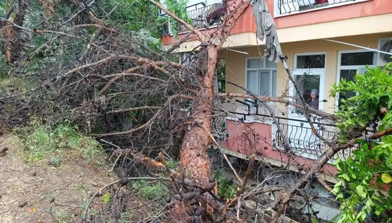 Yağmur Yüksek Bina Üzerine Devrildi: Korku Dolu Anlar