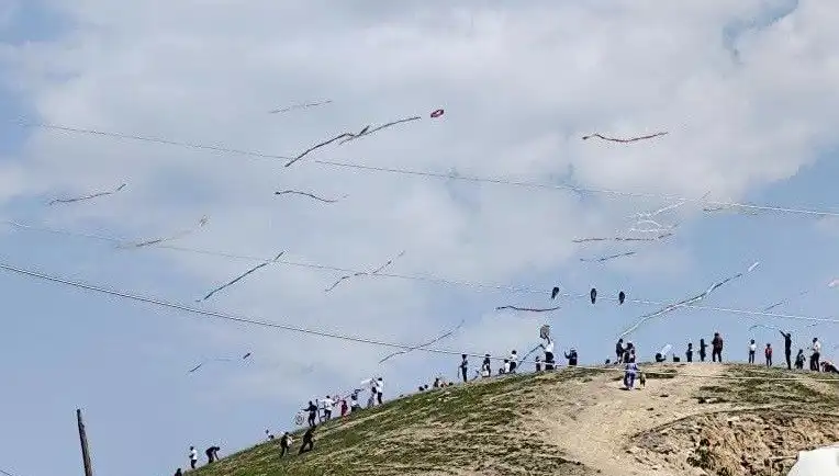 Renklerin Dansı: Uçurtma Şöleni, Göz Dolduran Bir Etkinlik