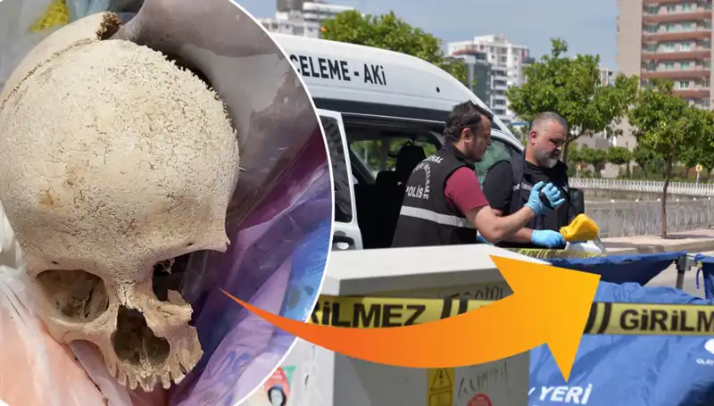 Çöp Kutusundaki Kafatasının Sırrı: Uzman Doktor Gözaltında!