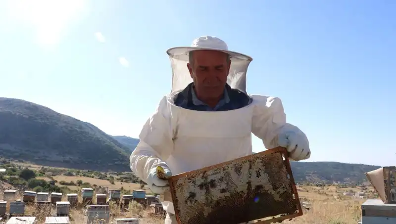 Mobilya Sektörünü Bırakarak Elde Ettiği Başarıyı Paylaştı: İnanılmaz Hikaye!