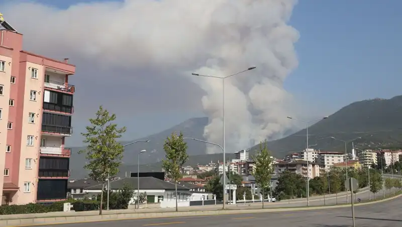 Denizli’de Şüpheli Orman Yangını: Yangının Ardındaki Gerçek Ne?