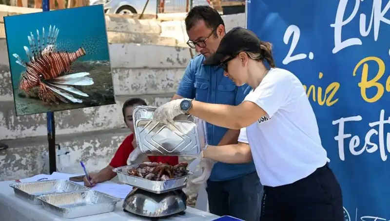 Antalya'da İstilacı Aslan Balığı Avlama Yarışması: Ekosistem İçin Mücadele