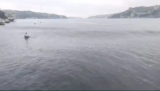 İstanbul'u Sarsan Deprem: Denizde Yükselen Dalgalar ve Son Gelişmeler