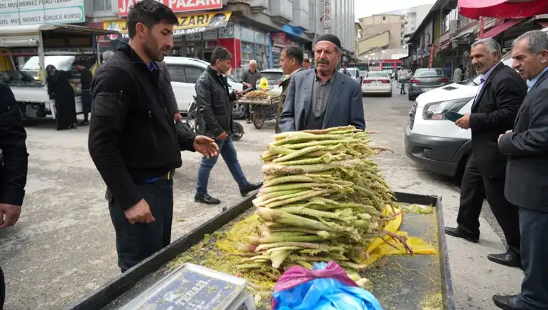 Şekerin Sağlık Üzerindeki Şaşırtıcı Faydaları: Kanser ve Mide Hastalıklarına Karşı Etkisi