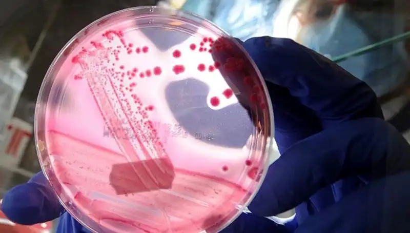 Bilim İnsanları, AP2A1 Proteinini Baskılayarak Yaşlanmayı Unutmaya Yaklaştı