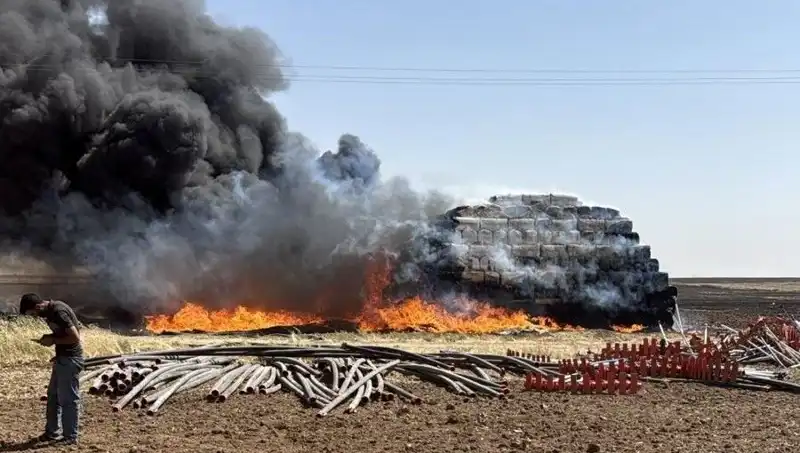 Mardin'de Anız Yangınları: Çiftçilerin Geleceğini Tehdit Eden Sorun