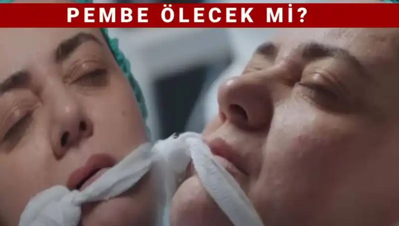 Kızılcık Şerbeti'ndeki Pembe Karakterinin Geleceği Neye Mal Olacak?