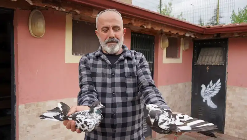 42 Yıllık Hobisi Profesyonel Tesise Dönüştü: Talep Sınır Tanımıyor