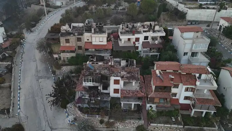 Orman Yangınlarının Tarafları: Yaşam Alanları Yok Oluyor mu?