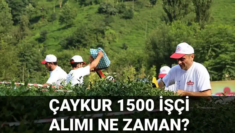Çaykur İşçi Alımı İçin Başvuru Tarihleri Açıklandı! Ne Zaman Başlayacak?