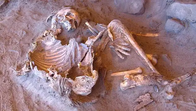 Yeni Mumya Keşfi, İnsanlığın Soy Ağacında Devrim Yaratabilir