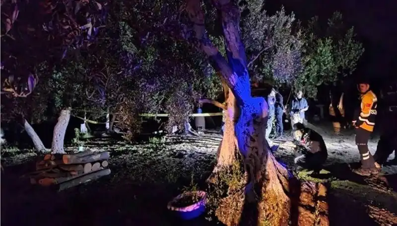 Çiftlikte Baltalı Vahşet: Bir Tutuklama ve Sır Perdesi Aralanıyor
