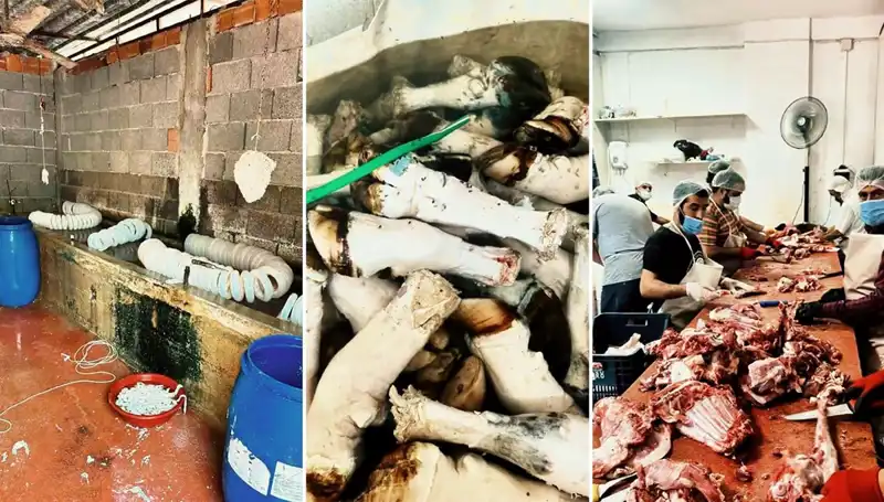 Adana'da İlginc Olay: Yüzlerce Kilo Paça Ele Geçirildi!
