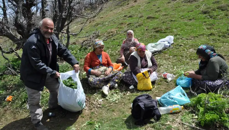Yürüyerek Dağları Aşarak Geçim Sağlayan Ailelerin Hikayesi